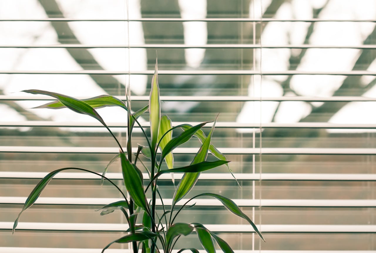 Easy Home Styling With Kids Around: Clip-On Blinds.